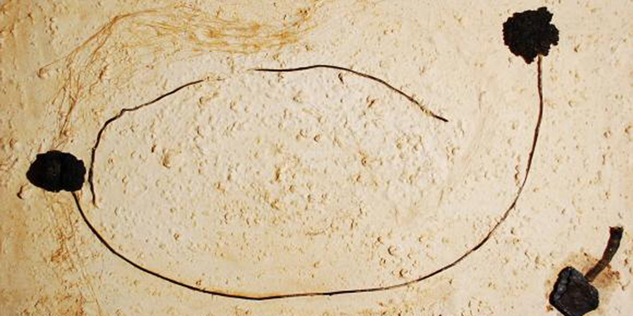 Concomitanti confini – 2003 – Tecnica mista su tavola telata spessorata , colori ad olio, acrilici ossidi, terra, stucco colla, piante marine, ferro, canapa – 62×34