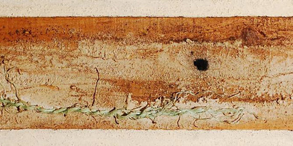 Memorie – 2003 – Tecnica mista su tavola, colori ad olio, acrilici, ossidi, terre, stucco, colla, caffè, carbone, plastica modellata dal mare – 59×14